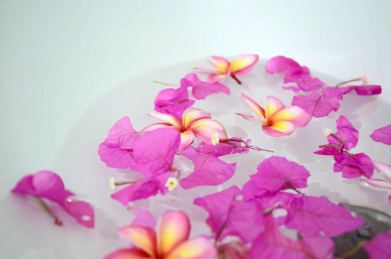 Hotel Chongkhao Resort- Phi Phi Island